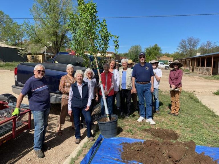 Colorado Tree Coalition Grant Enables Planting of Trees and Pruning